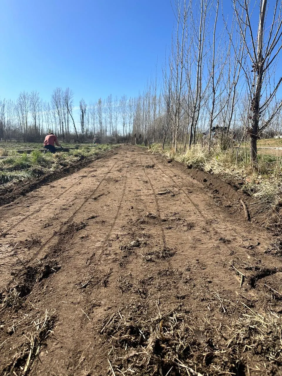 Terreno nivelado